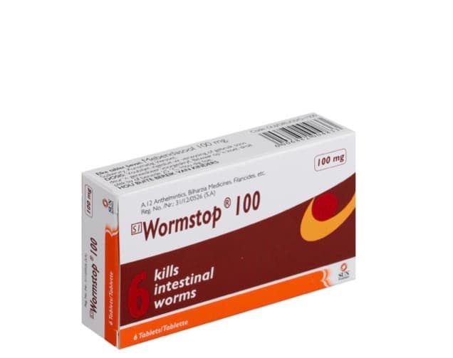Wormstop 100mg 6’s